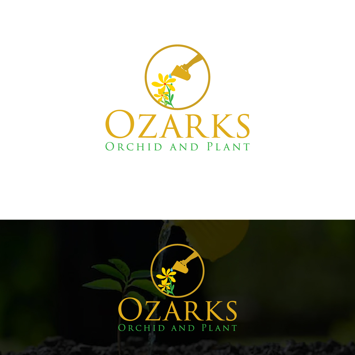 Logo Design by Deziners Zone for this project | Design #25802042