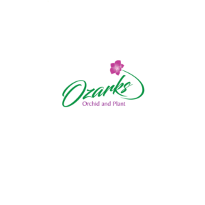 Logo Design by instudio for this project | Design: #25800968