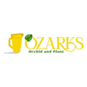 Logo Design by Jose Alvin for this project | Design #25814333