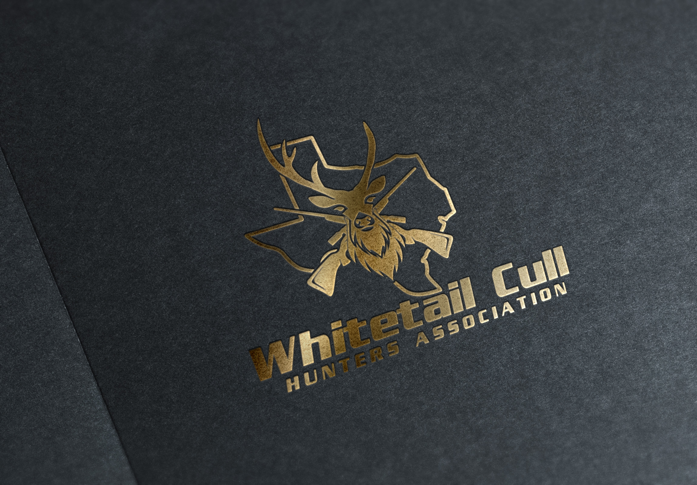 Design de Logo par Rosalia.... pour Public Hunter LLC | Design #25811672