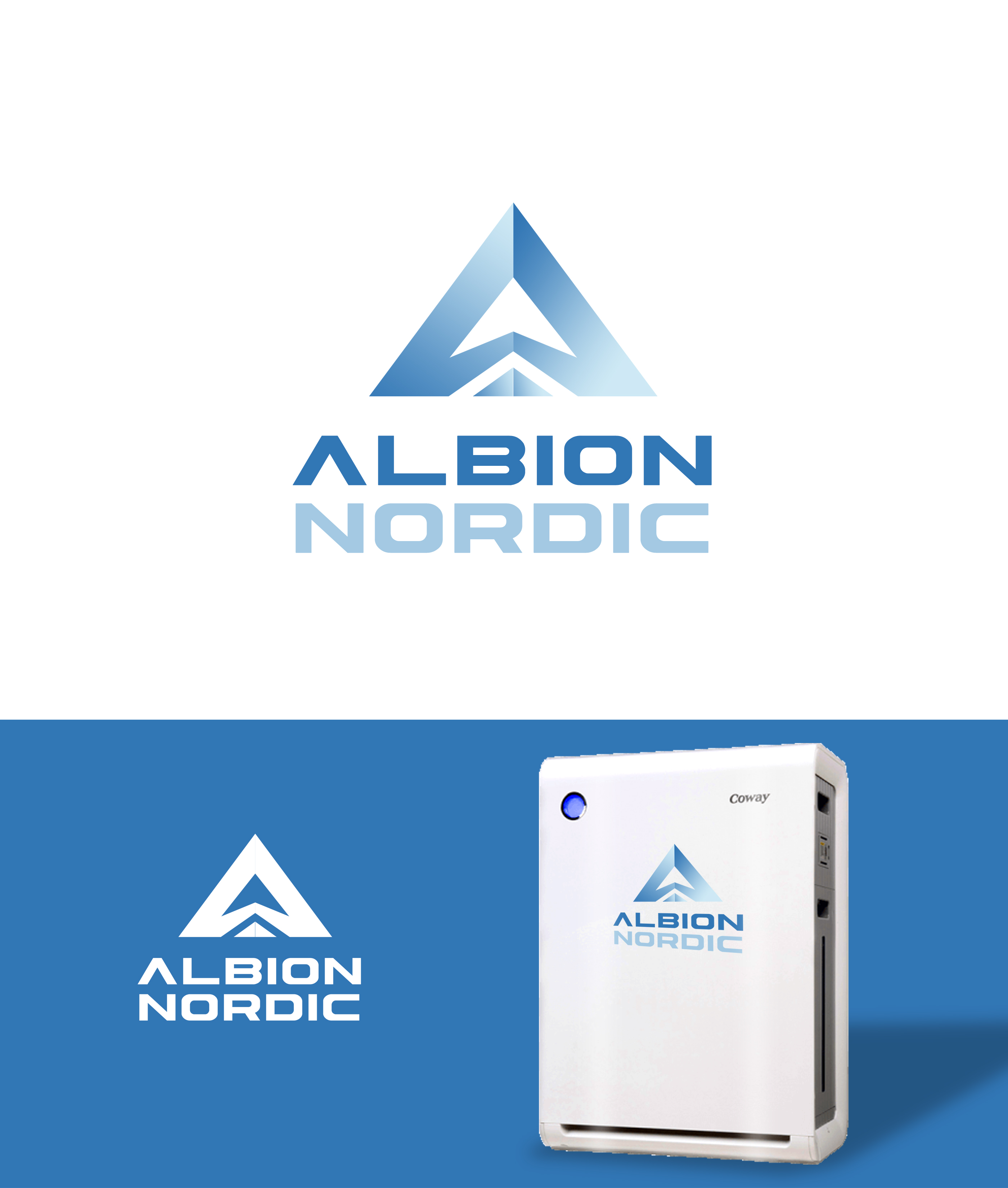 Logo Design by Ana Gocheva for Albion Nordic | Design #25803177