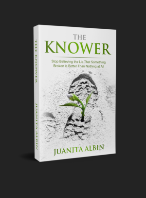 Book Cover Design by RedNinja for this project | Design: #25804252