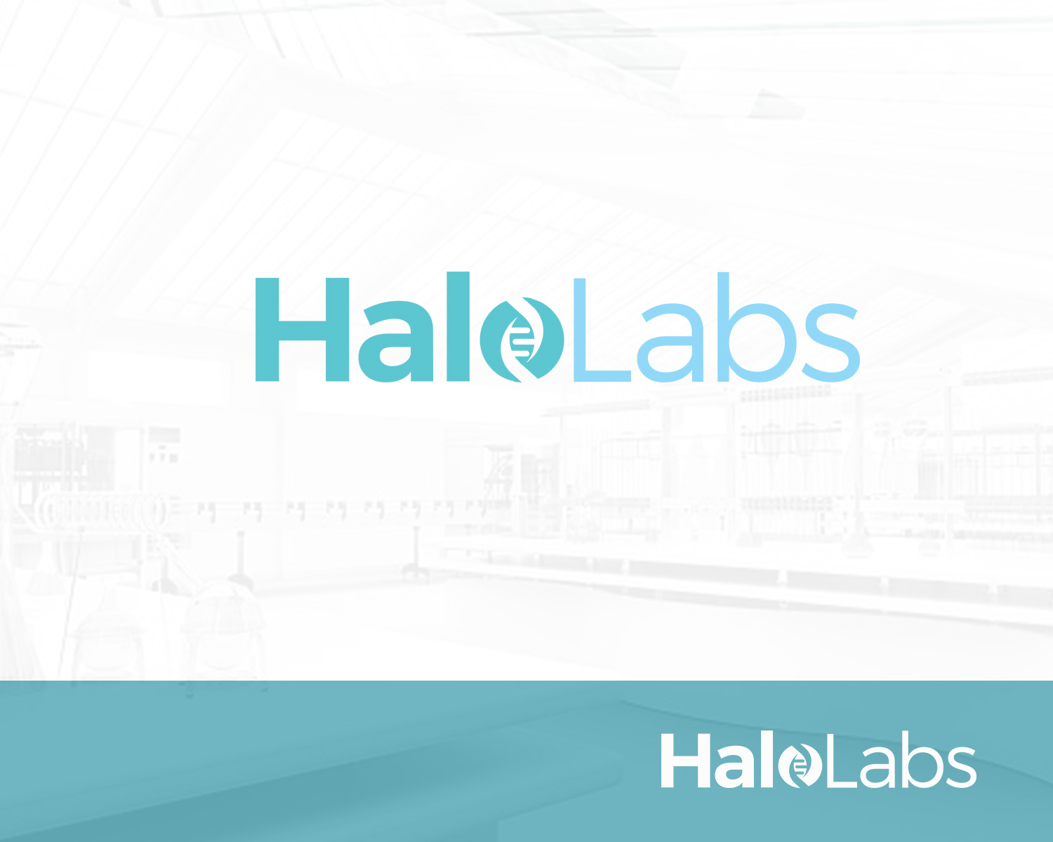 Logo Design by Djamdesign for this project | Design #25819846