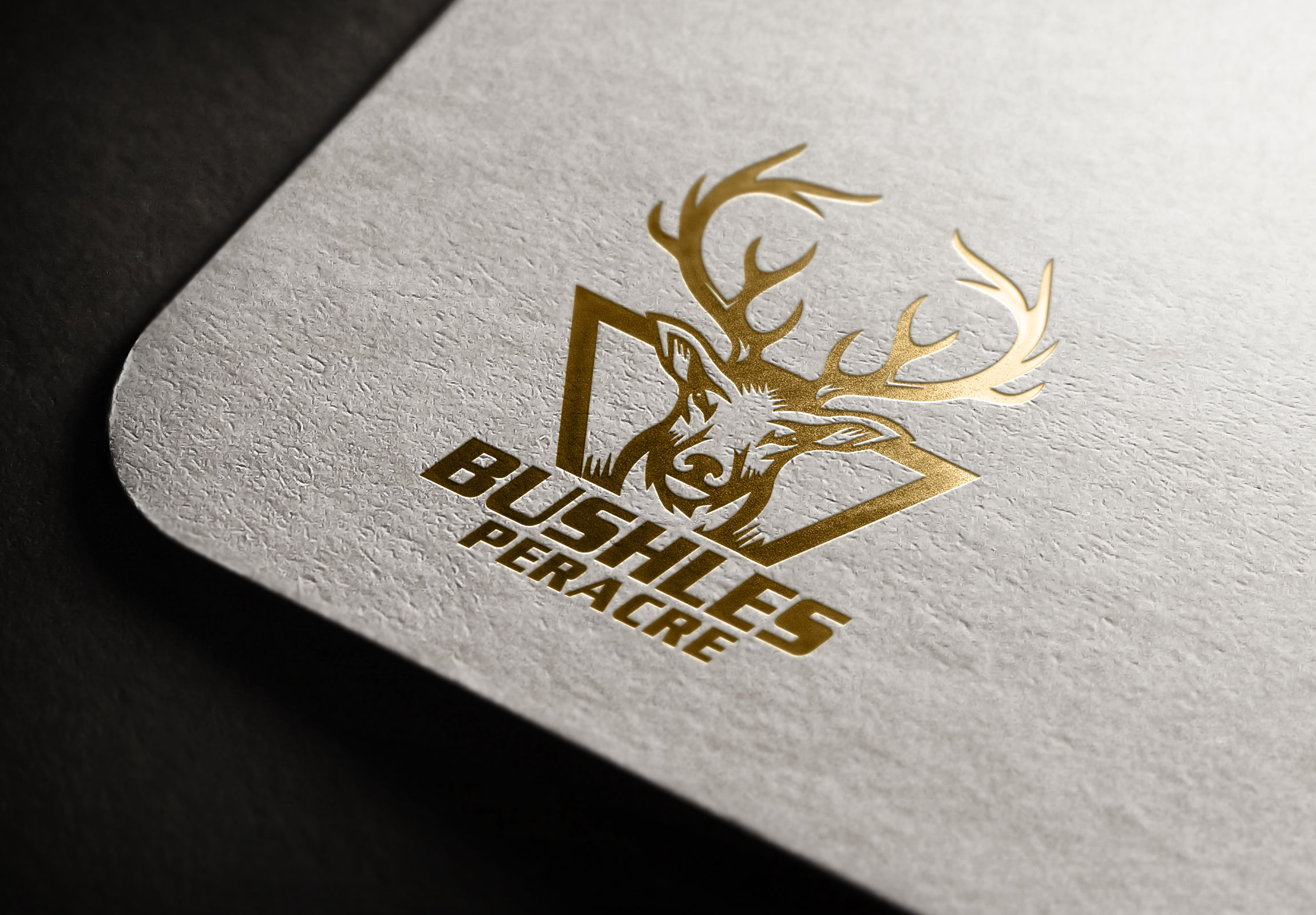 Logo Design by Rosalia.... for this project | Design #25805290