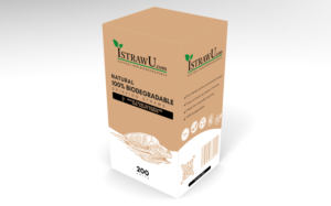 Diseño de Empaque por davidsantacruz7 para este proyecto | Diseño: #26125636