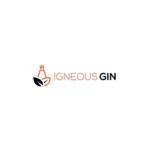 Logo Design by CreativeFlows 2