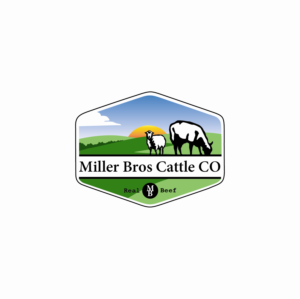 Miller Bros Cattle CO | Logo Design by yulioantoni's