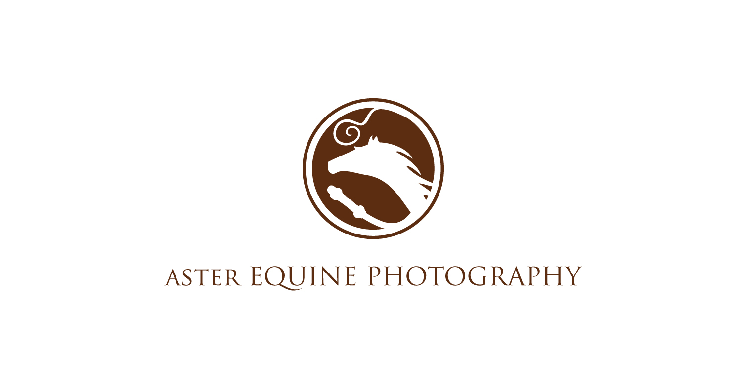 Logo Design by creativepoint for Aster Equine Photography | Design #25816796
