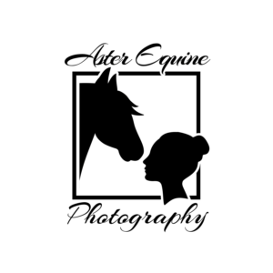 Logo Design by one six zero design