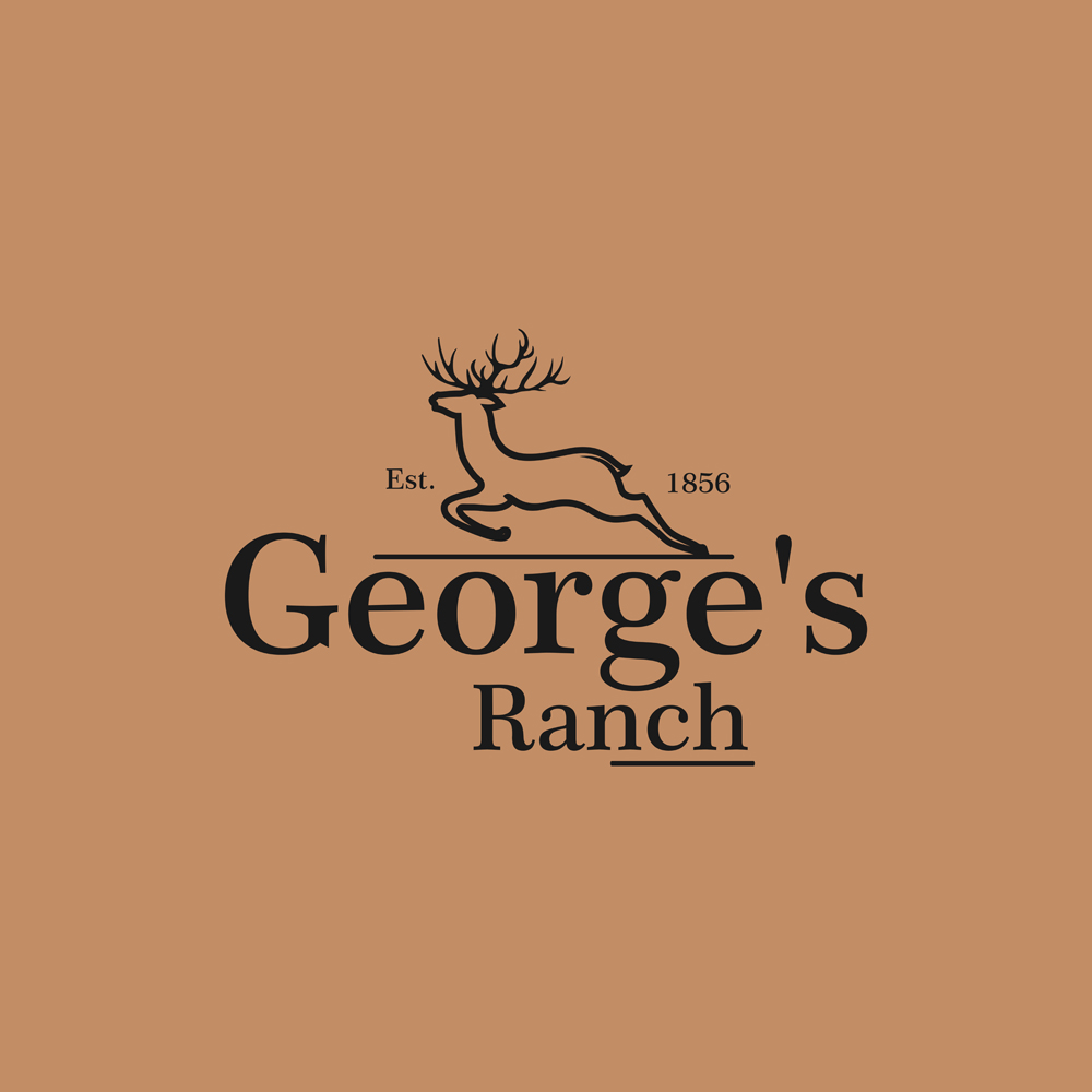 Logo Design by sachin95 for The Lookout Group | Design #25852240