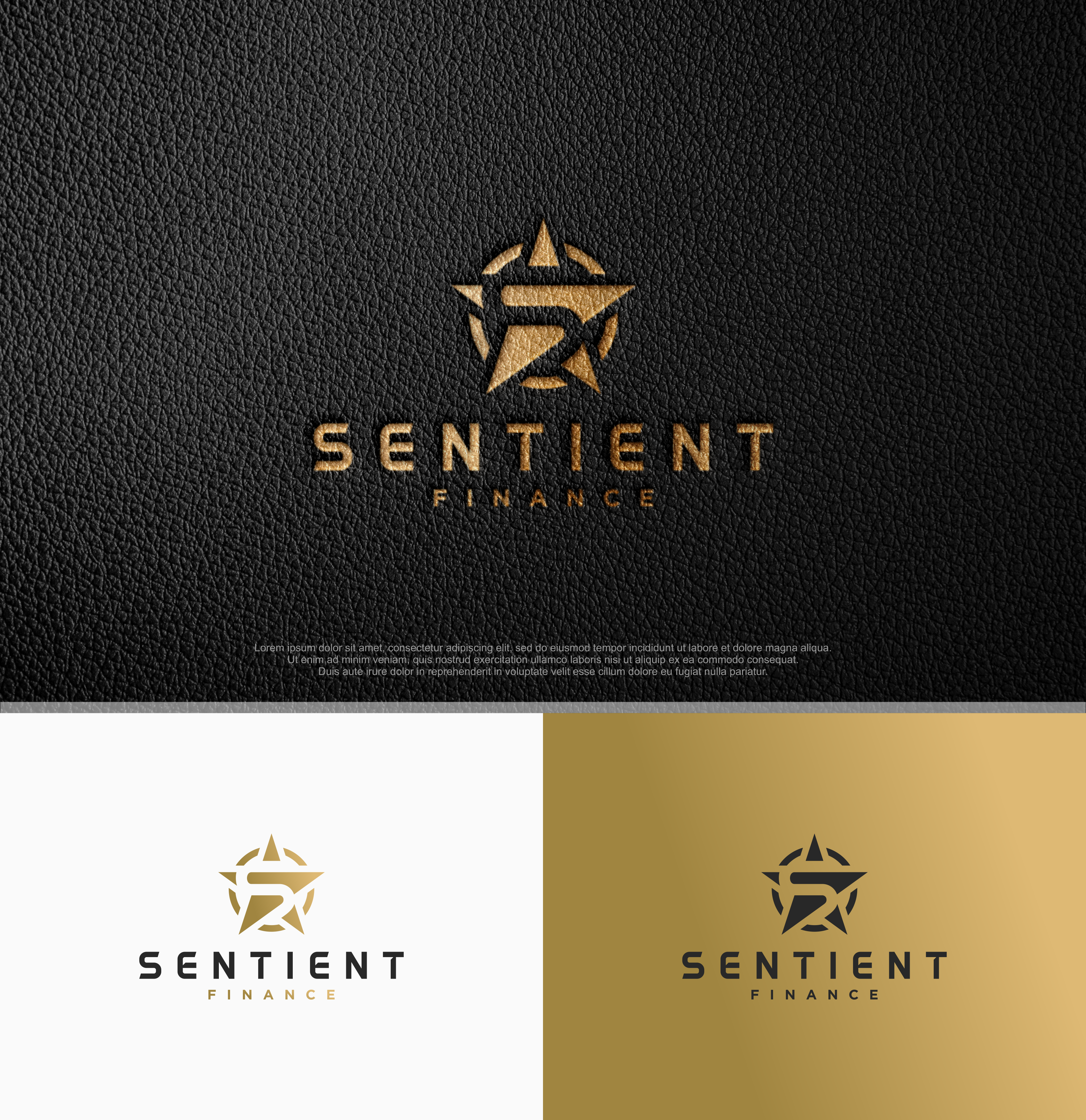 Diseño de Logo por R!CKY para este proyecto | Diseño #25850072