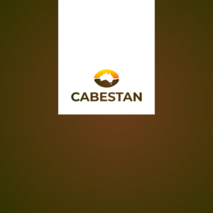 Logo Design by A10
