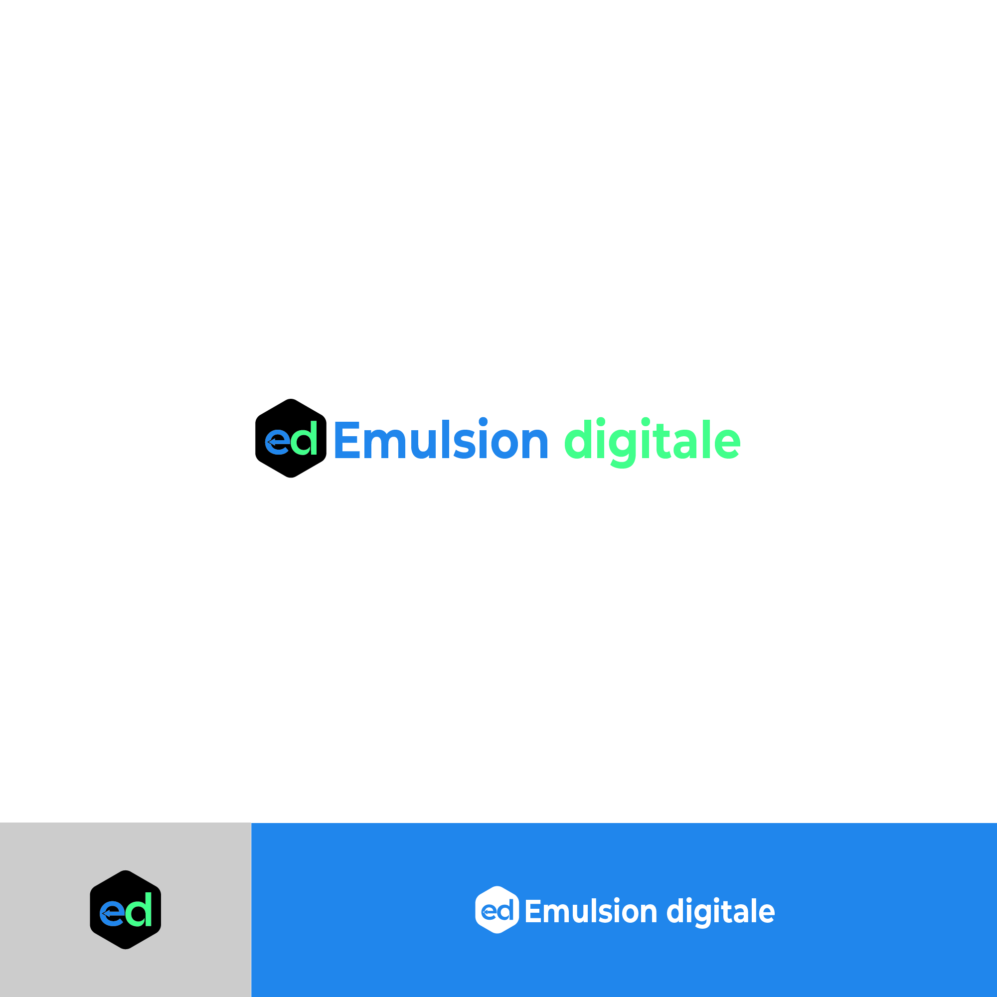 Logo Design by alitjuara for Emulsion | Design #25892423