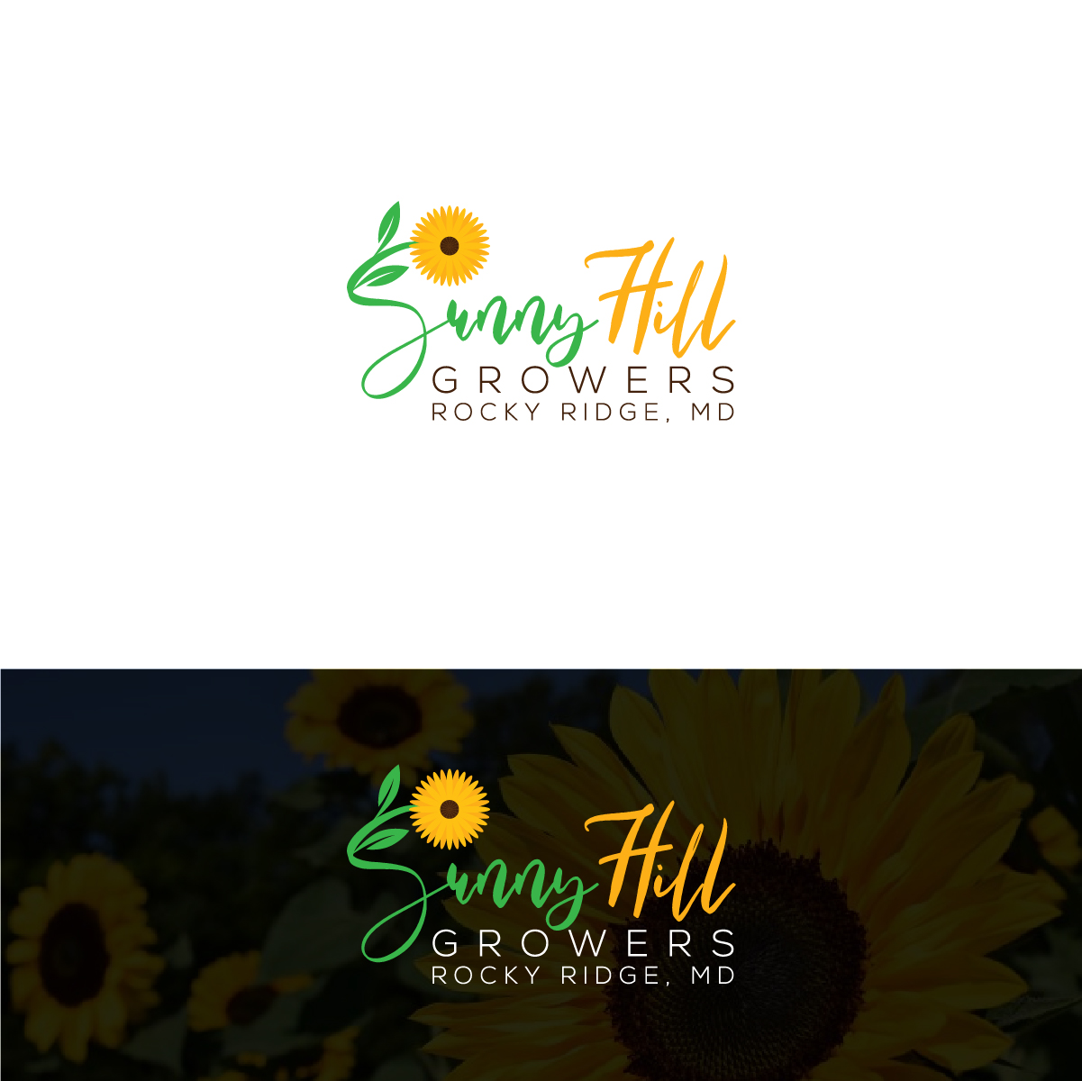 Logo Design by Deziners Zone for this project | Design #25846631