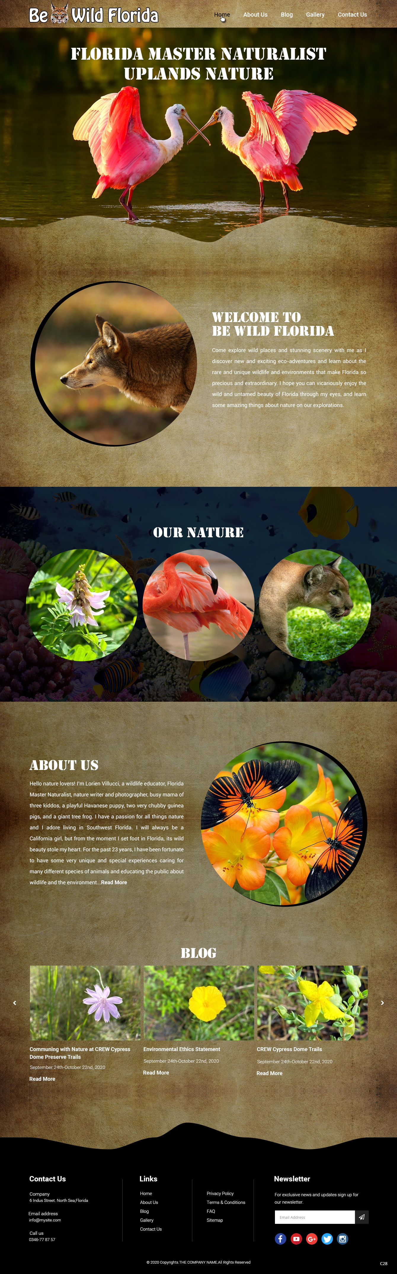 Wordpress Design by pb for Be Wild Florida  | Design #25846475