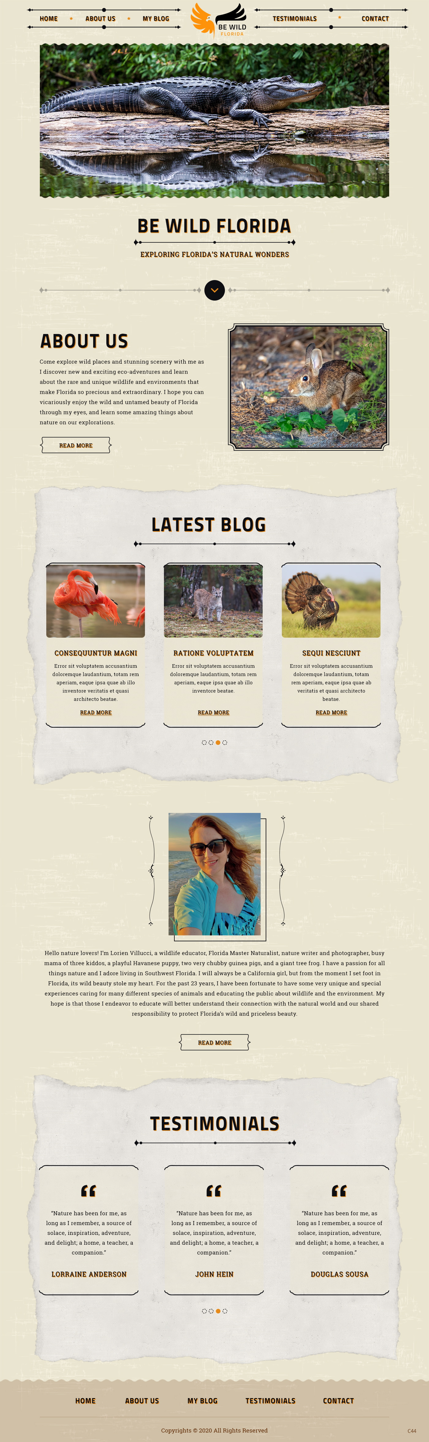 Wordpress Design by pb for Be Wild Florida  | Design #25846482