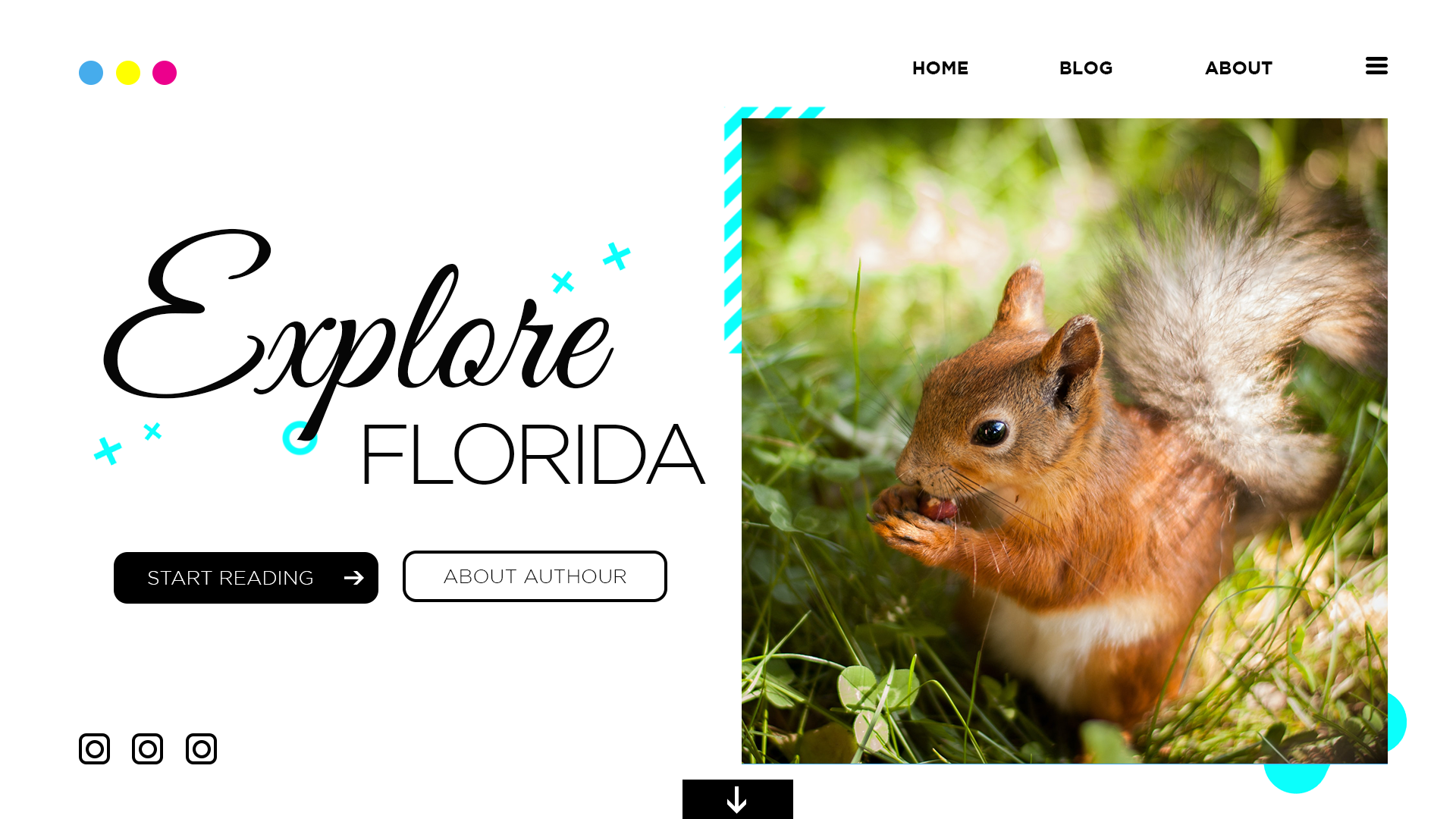 Diseño Wordpress por Ron.IT para Be Wild Florida  | Diseño #25879648