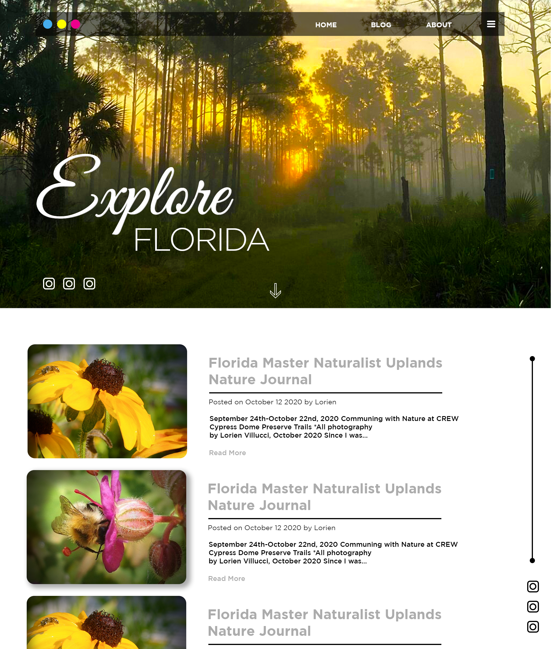 Wordpress Design by Ron.IT for Be Wild Florida  | Design #25879649