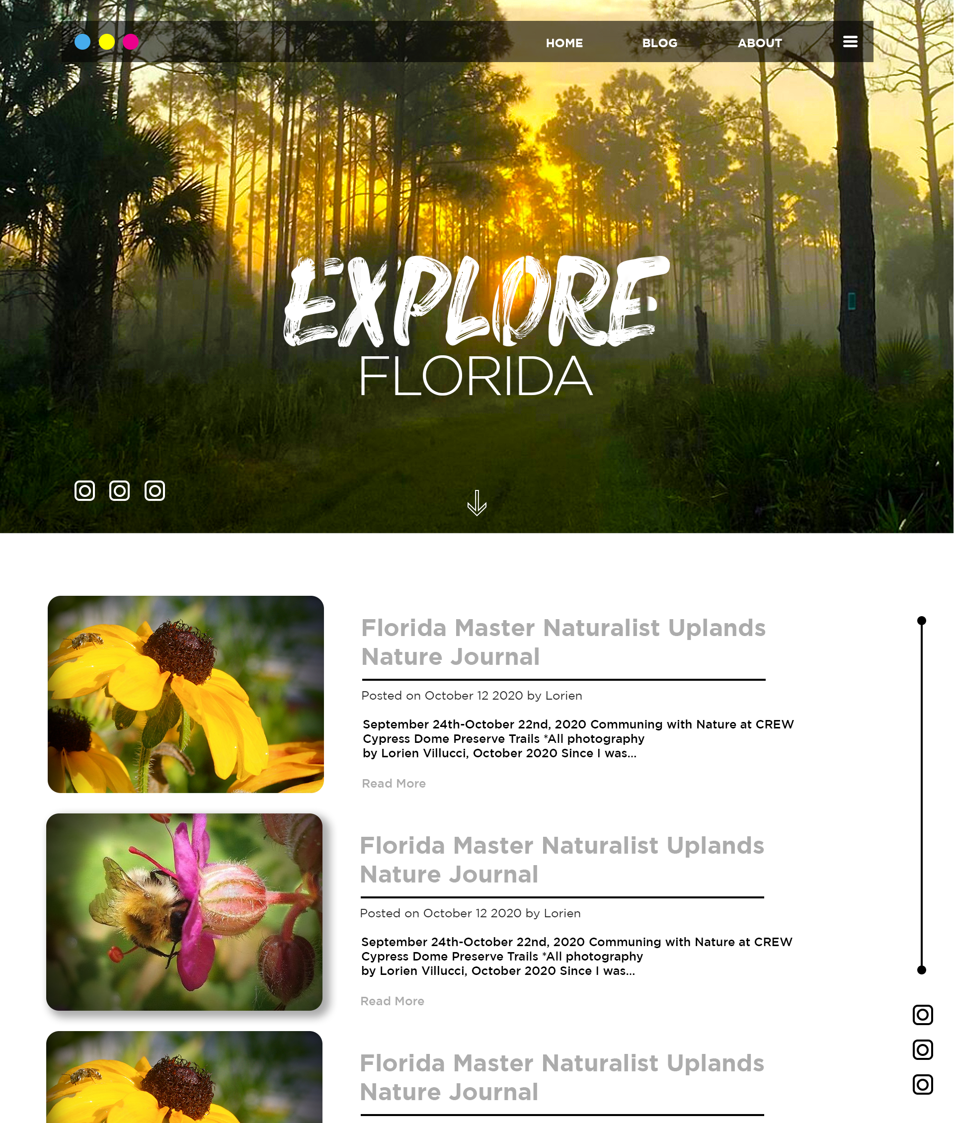 Wordpress Design by Ron.IT for Be Wild Florida  | Design #25879650