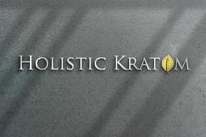 Diseño de Logo por kentoi406 para este proyecto | Diseño: #25867860
