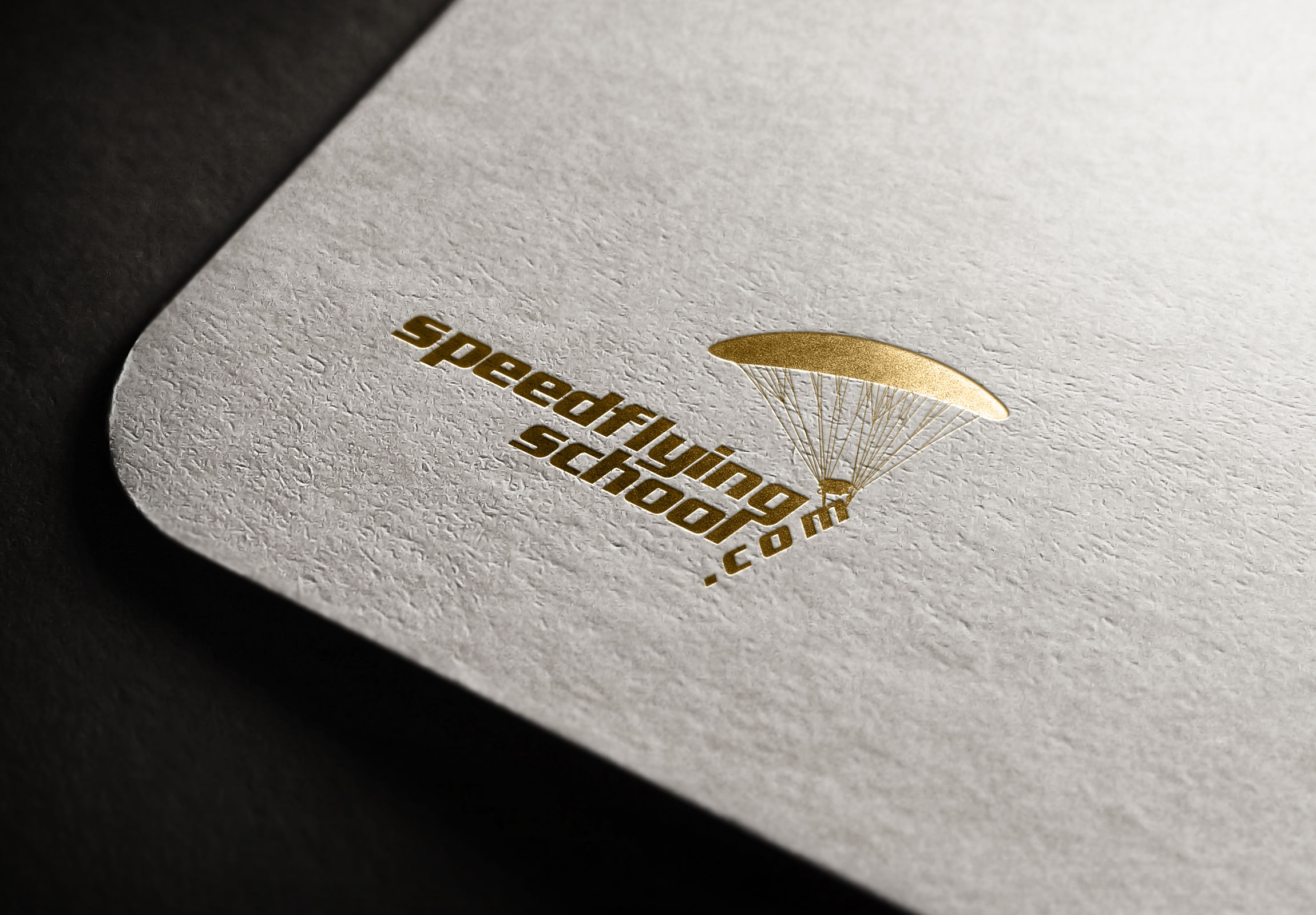 Logo Design by Rosalia.... for Paragliding Switzerland Shop GMBH | Design #25883067