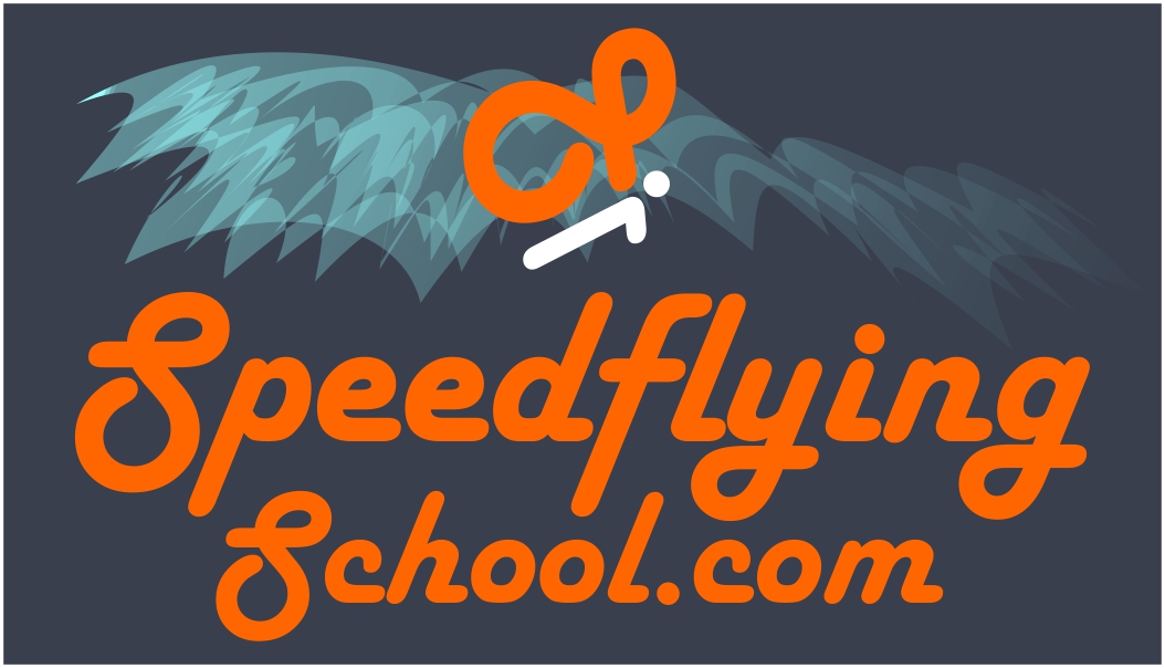 Logo Design by Alireza Mirzaei for Paragliding Switzerland Shop GMBH | Design #25872856