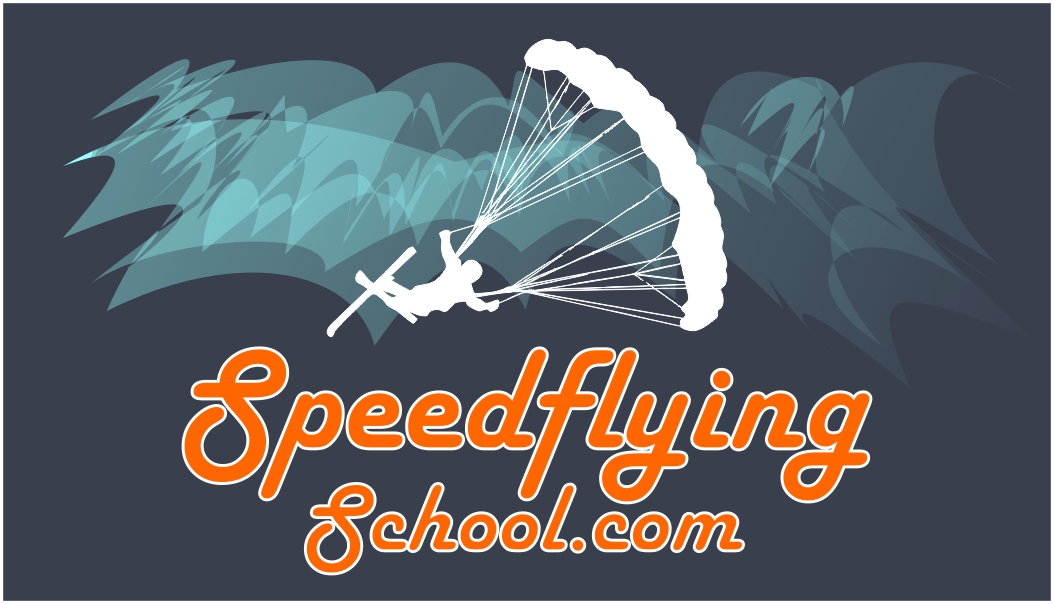 Logo Design by Alireza Mirzaei for Paragliding Switzerland Shop GMBH | Design #25898397