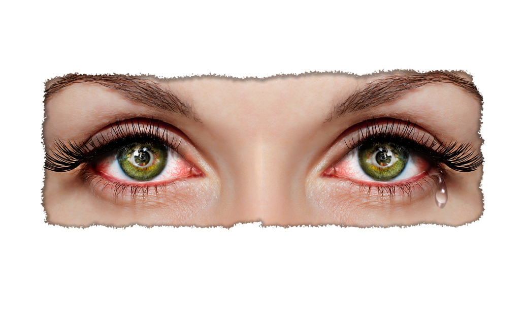 Design de T-shirt par Irina K pour ce projet | Design #25900712