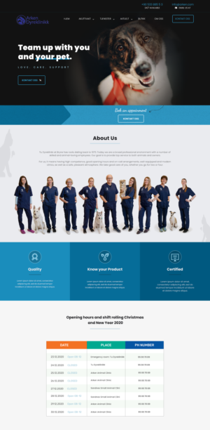 Web Design by Faizan Qadir