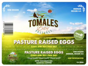 Graphic Design by MariaBayley for this project | Design: #25883273