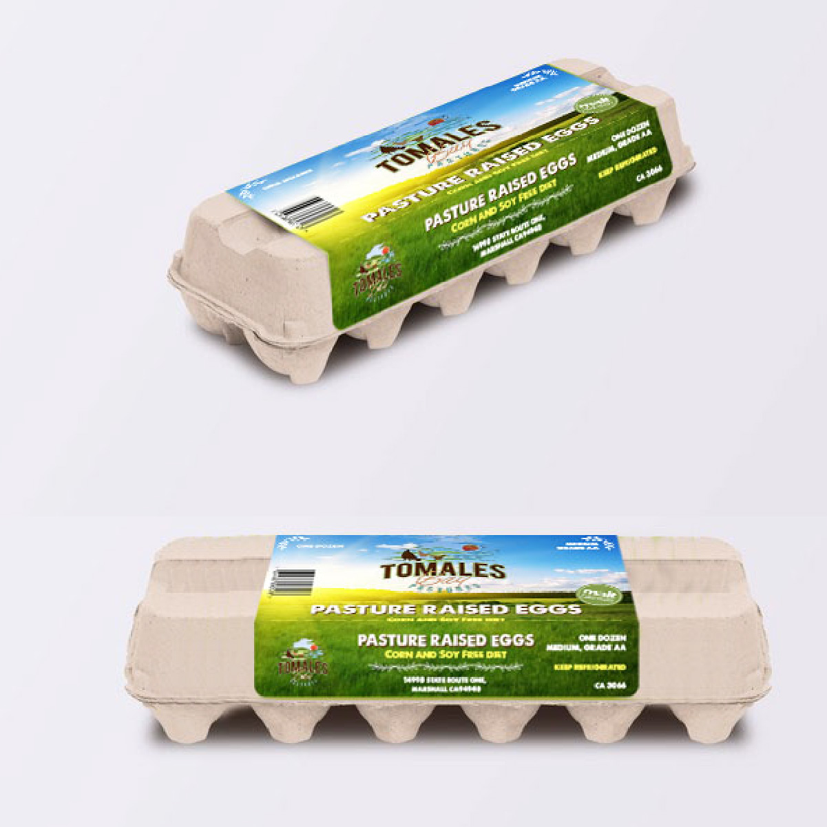 Grafik-Design von MariaBayley für dieses Projekt | Design #25883274