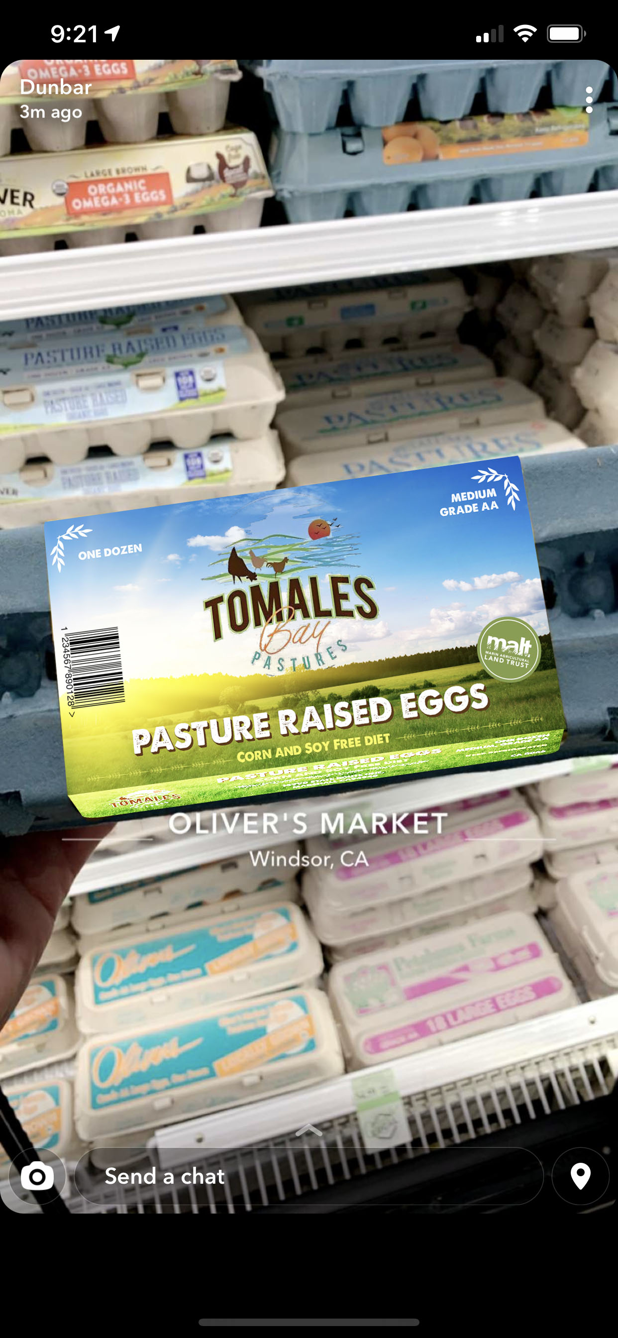 Grafik-Design von MariaBayley für dieses Projekt | Design #25883275