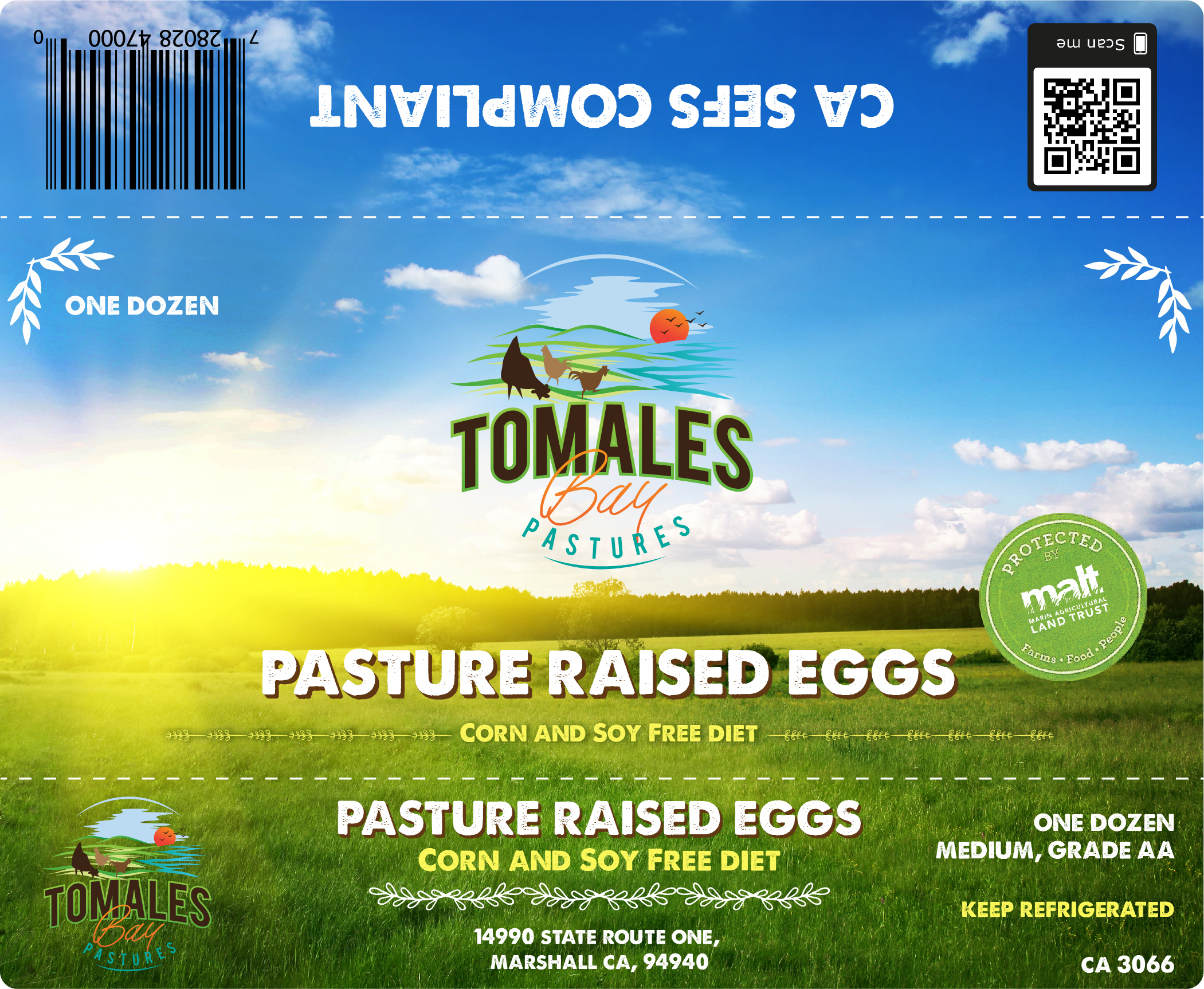 Grafik-Design von MariaBayley für dieses Projekt | Design #25896587