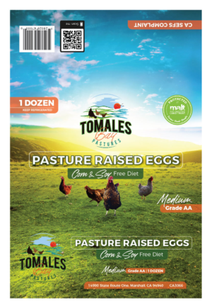 Graphic Design by apolgv for this project | Design: #25897389