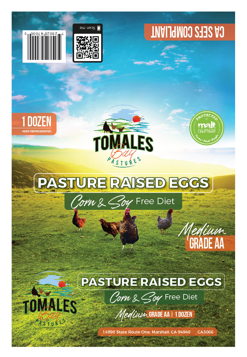Graphic Design by apolgv for this project | Design #25897988
