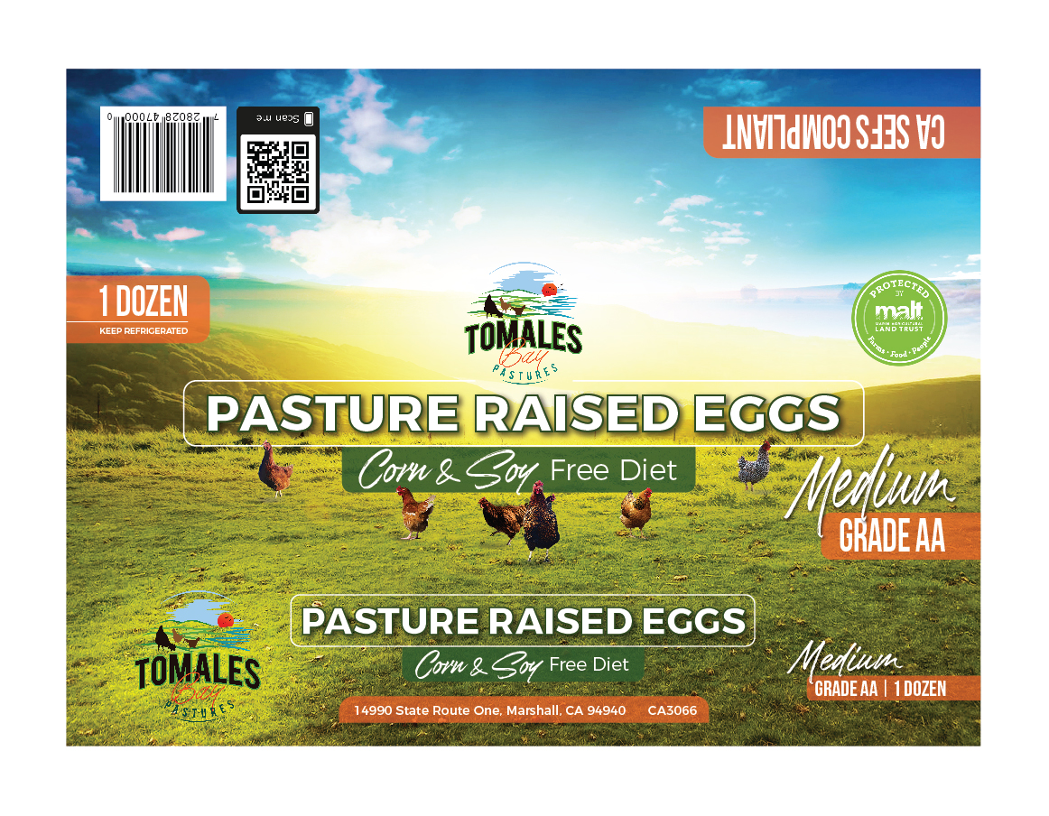 Graphic Design by apolgv for this project | Design #25946278