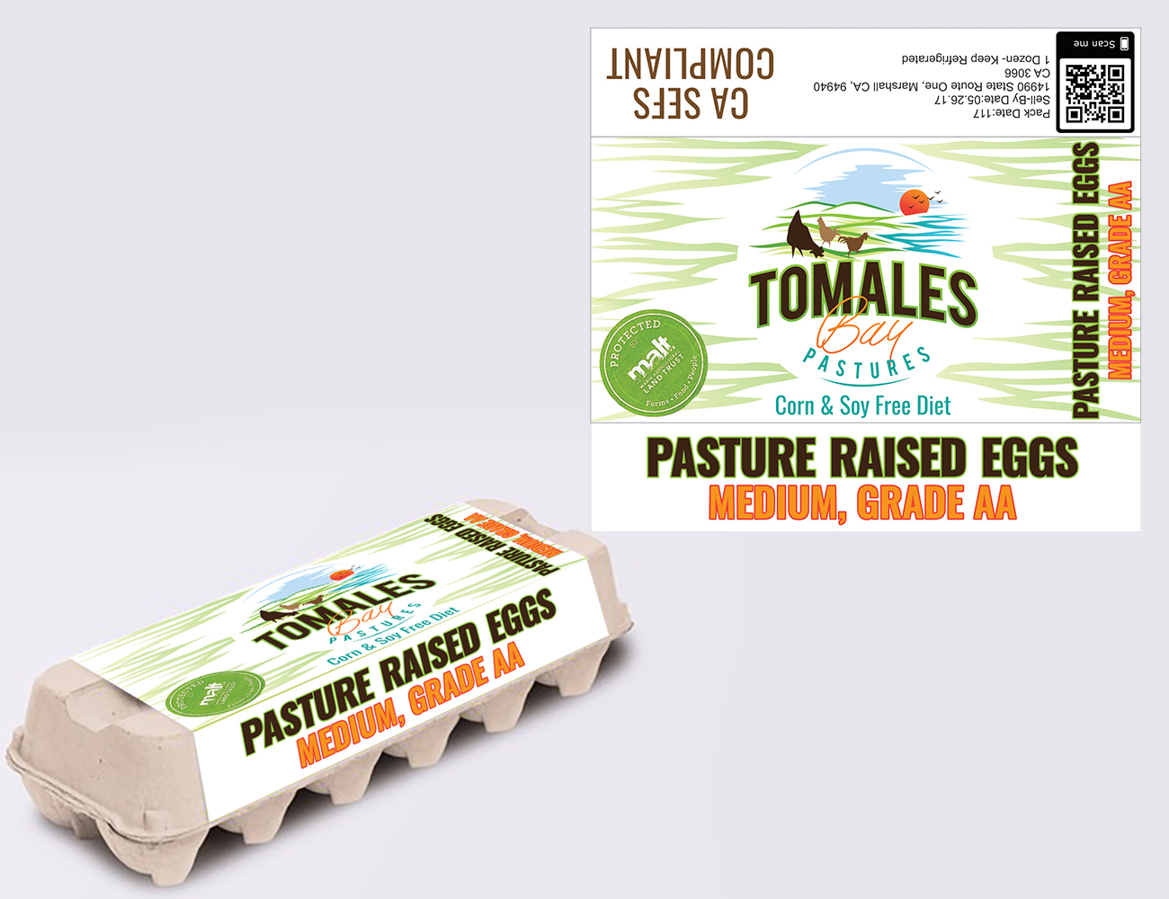 Graphic Design by Lezette_G for this project | Design #25913468