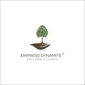 Logo Design by A10