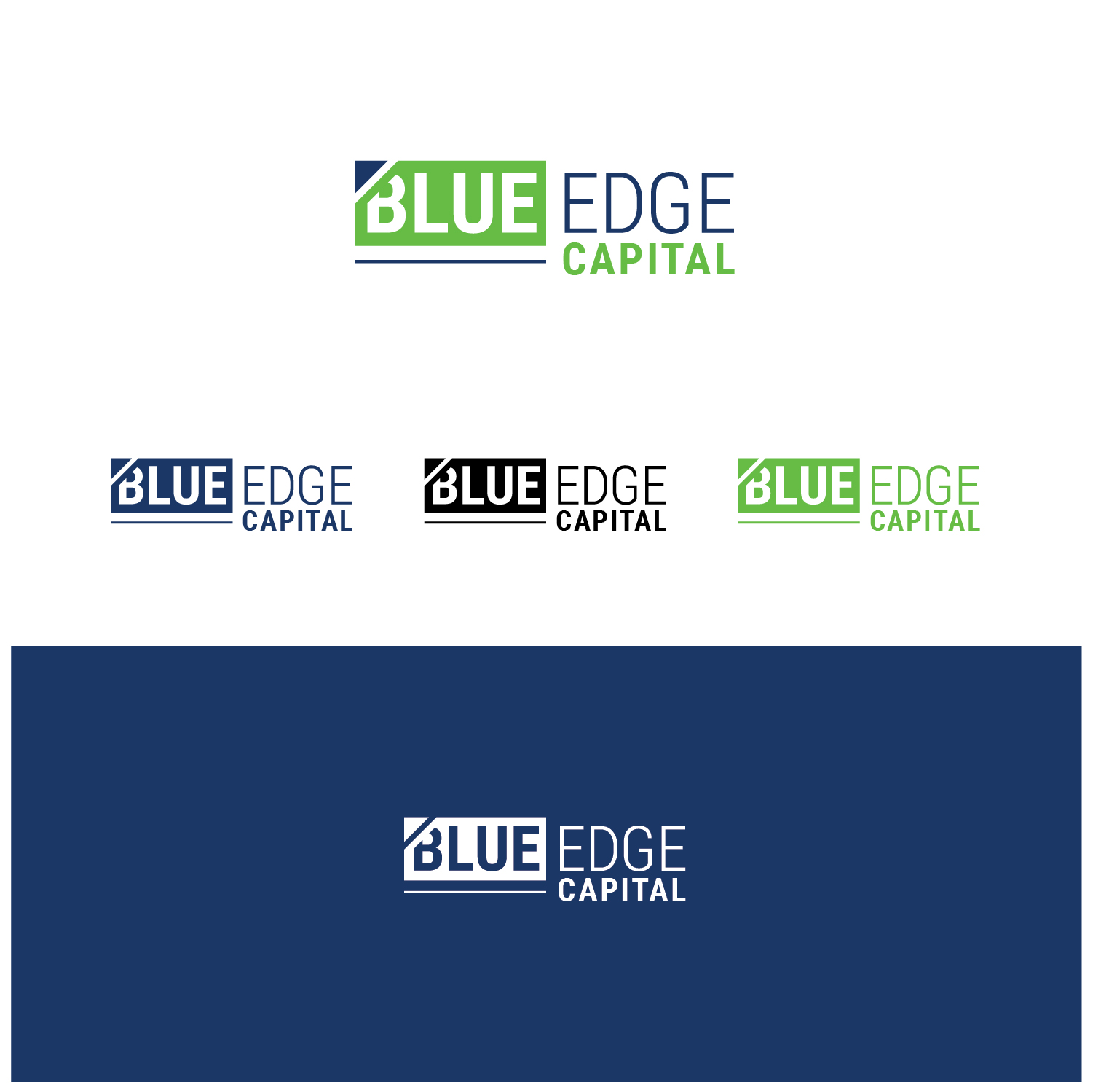 Logo Design by Maxo-Biz for this project | Design #25894318