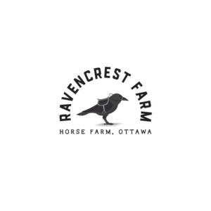 Logo Design by SpicyDesign