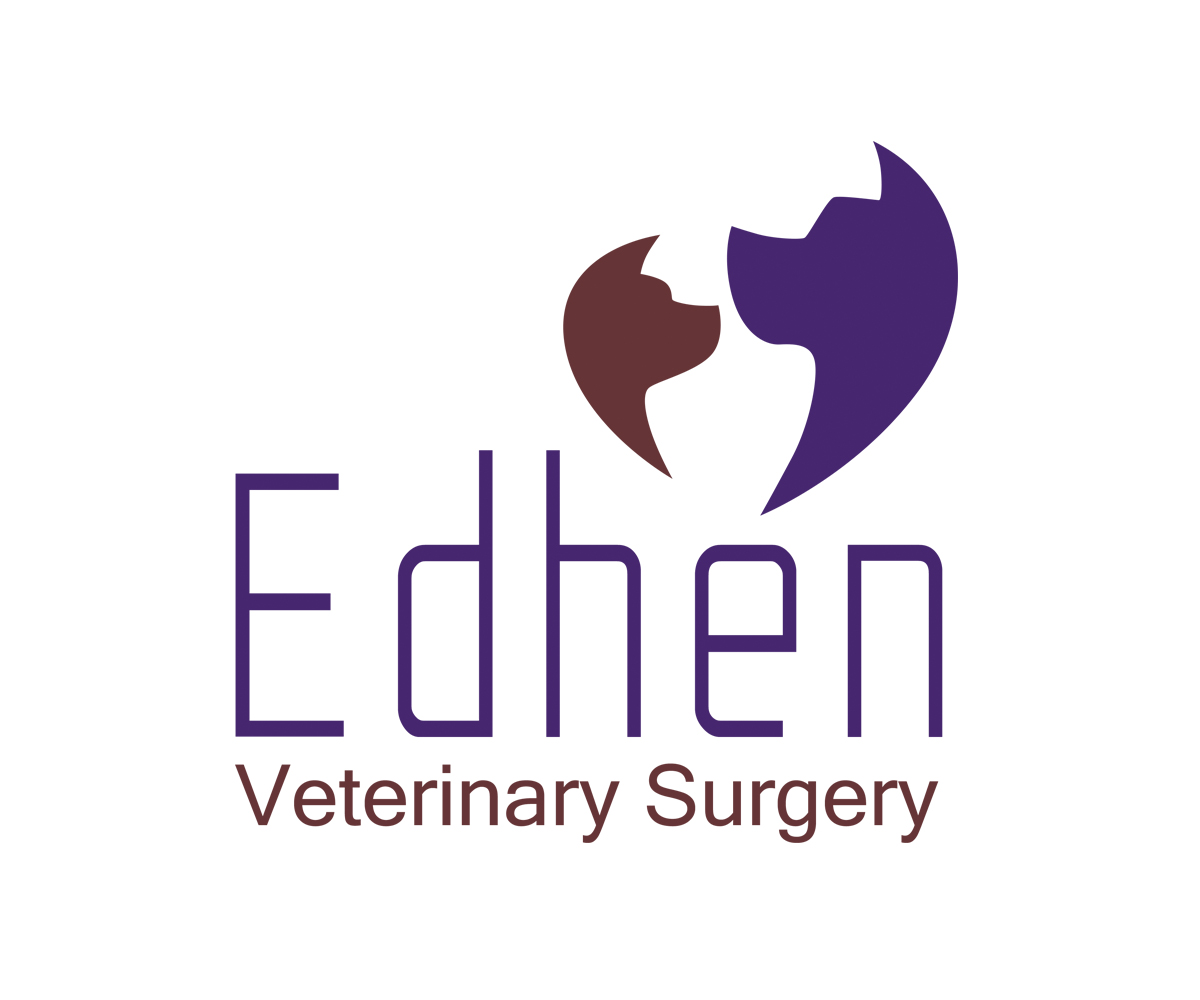 Diseño de Logo por RKDesign29 para este proyecto | Diseño #25894870