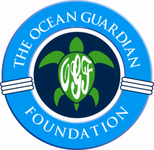 Logo Design by Doug Bliss