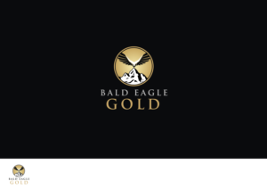 Logo Design by dm.design