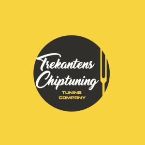 Trekantens Chiptuning | Logo Design by Dejan Gmizovic