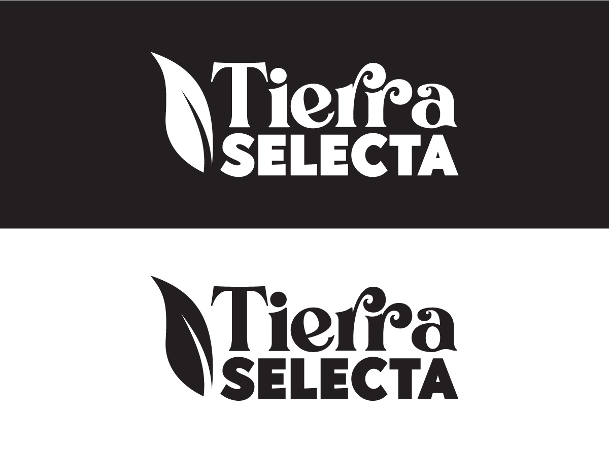 Logo Design by Fajr. for this project | Design #25904143