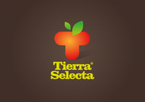 Logo Design by grrssn for this project | Design #25903599