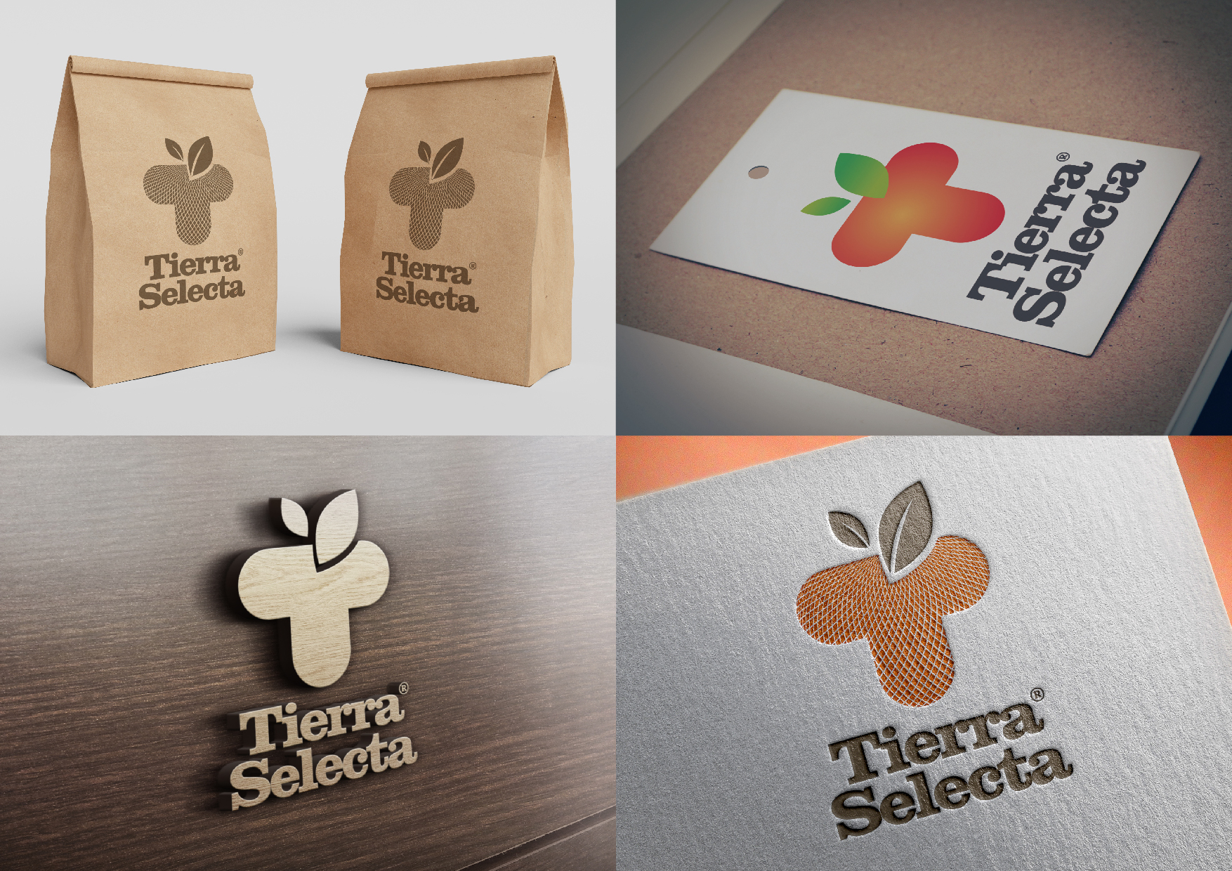 Design de Logo par grrssn pour ce projet | Design #25915112