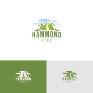 Logo Design by alitjuara for this project | Design: #25957703