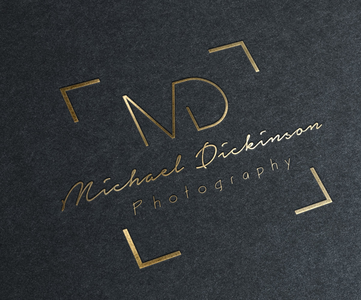 Logo Design by RKDesign29 for Michael Dickinson Photography | Design #25925898