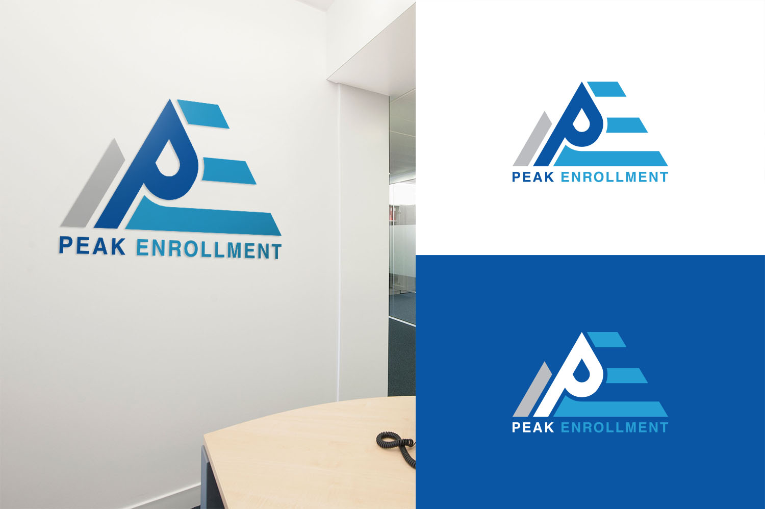 Logo Design by MT for Zasady / Peak Enrollment | Design #25921277